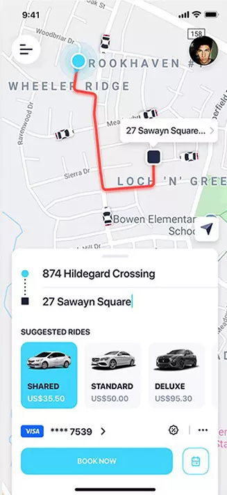 Application Screenshot